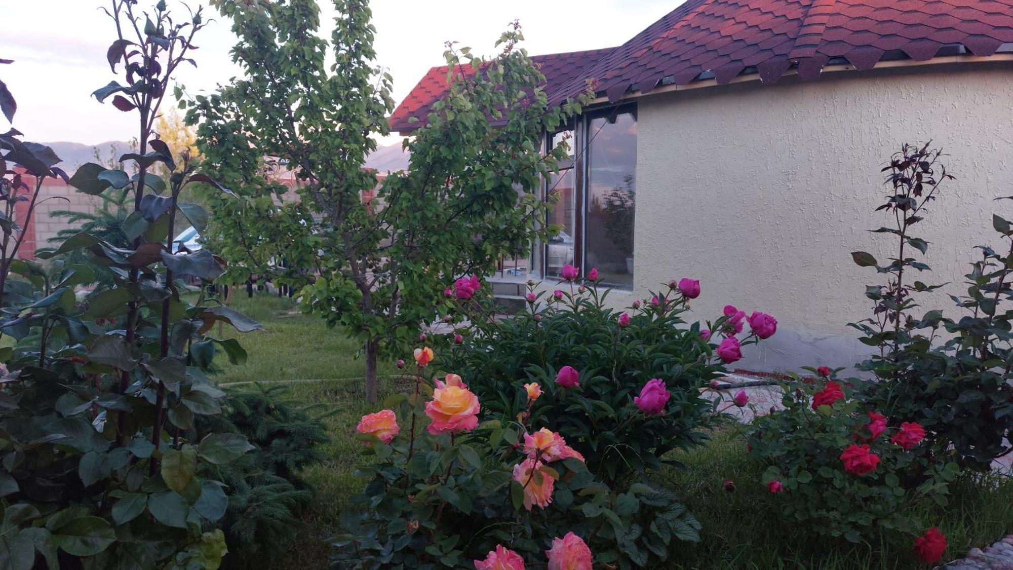 Svetlana Guest House Bokonbayevo Dış mekan fotoğraf