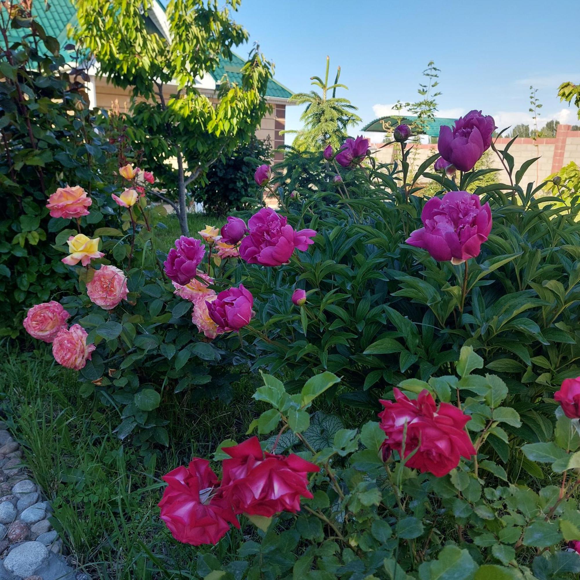 Svetlana Guest House Bokonbayevo Dış mekan fotoğraf