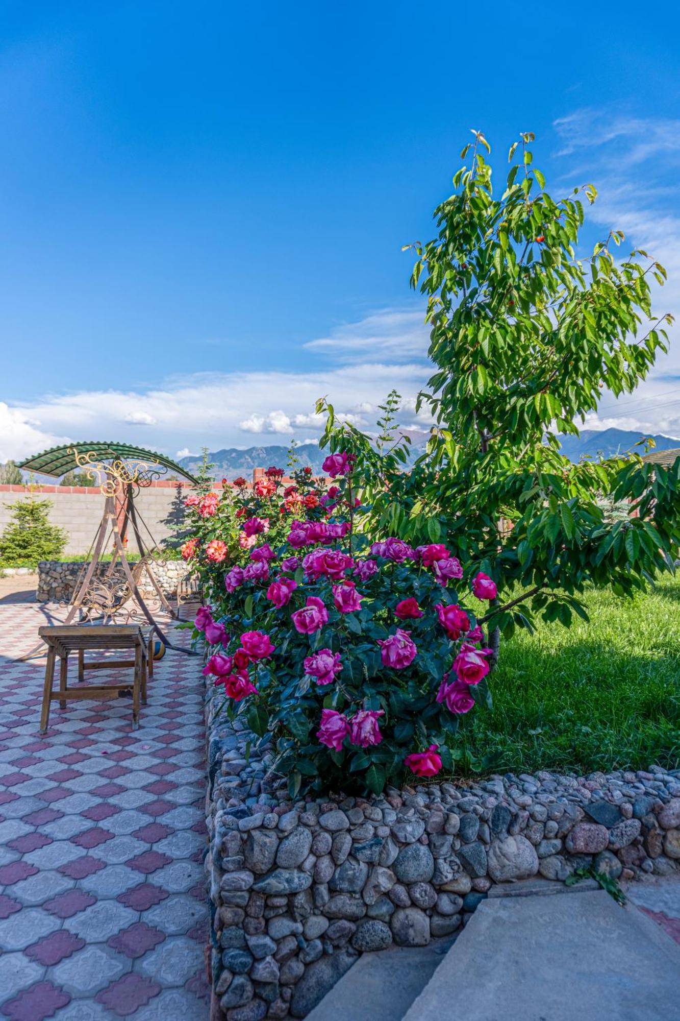 Svetlana Guest House Bokonbayevo Dış mekan fotoğraf