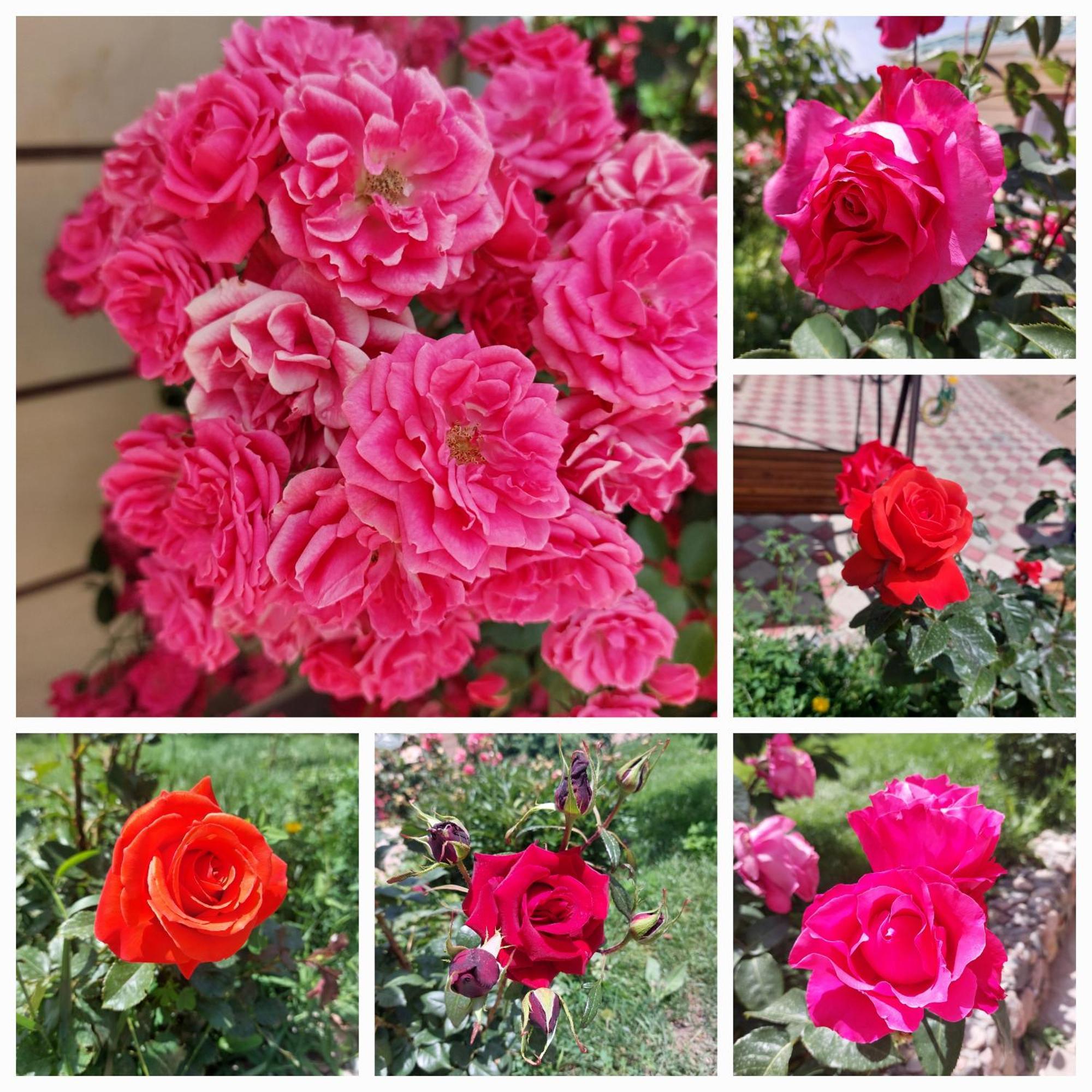 Svetlana Guest House Bokonbayevo Dış mekan fotoğraf