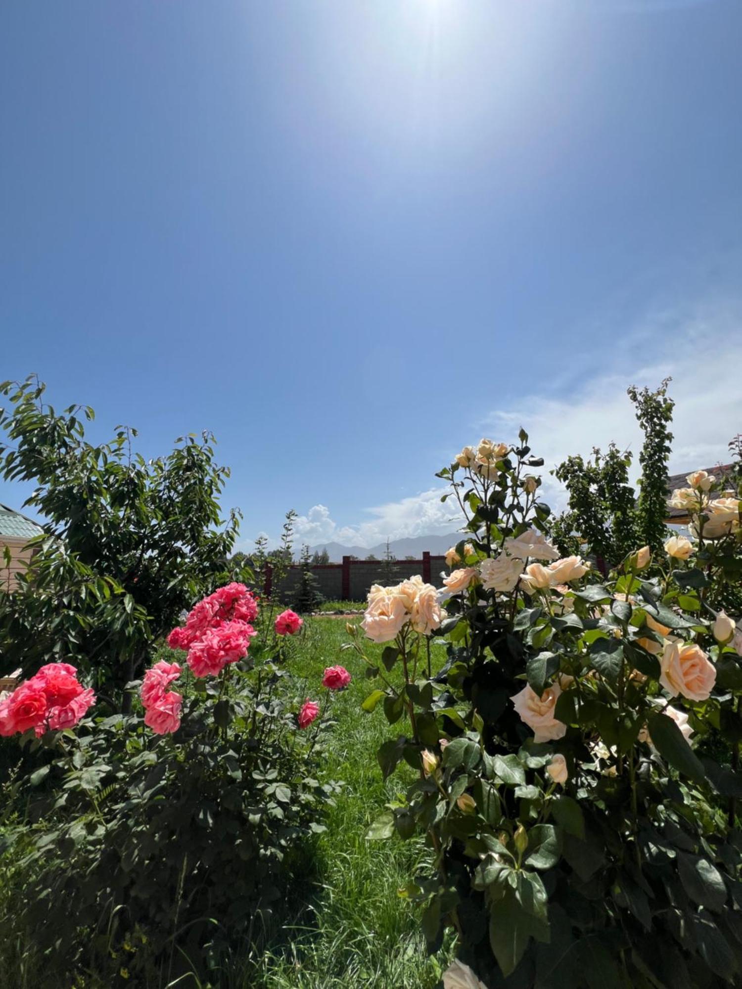 Svetlana Guest House Bokonbayevo Dış mekan fotoğraf